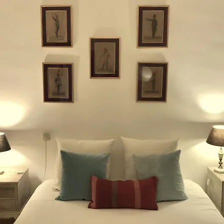 Salsas And Co Guest house *